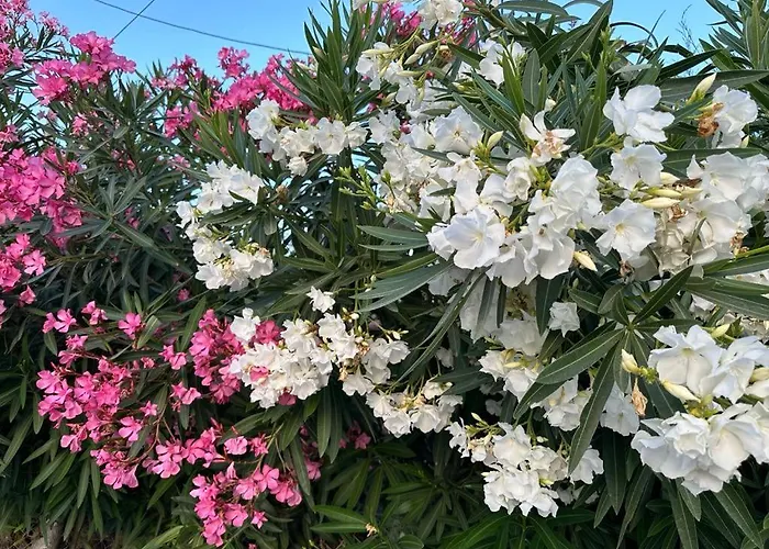 Anna Agios Prokopios (Naxos)