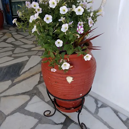 Anna Aparthotel 4*